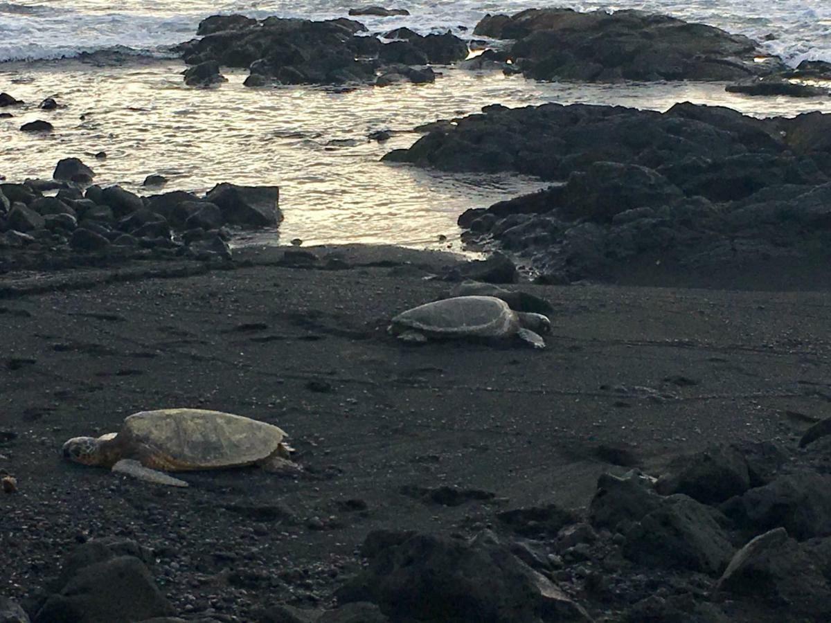 Mauna Kai'Iki Pahala المظهر الخارجي الصورة